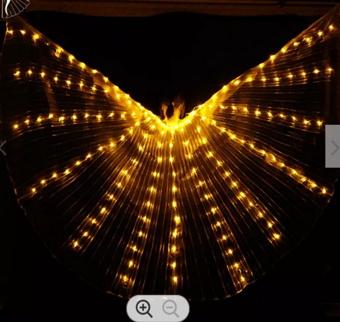 Isis Wings organza met gouden led lights